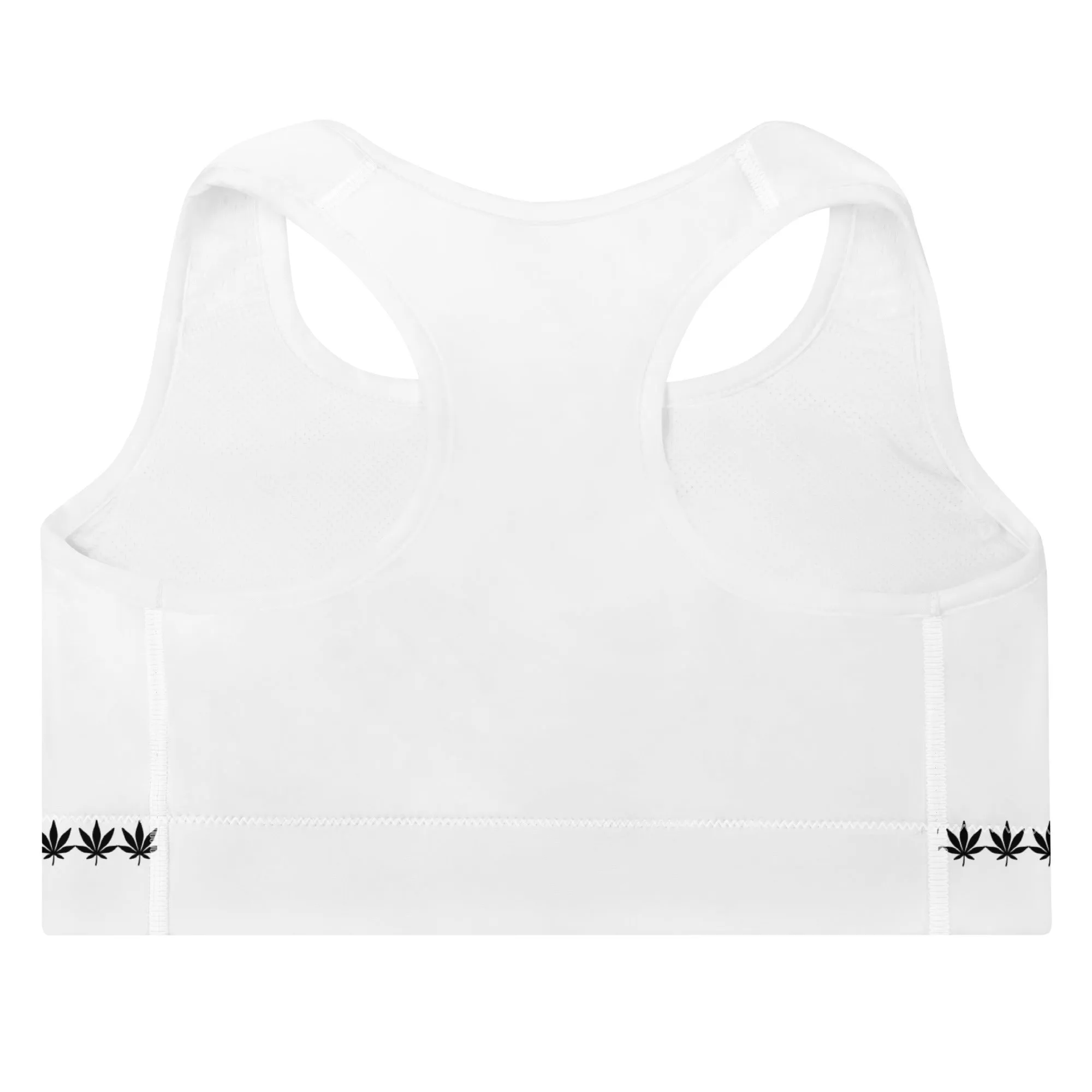 Cannafit Padded Sports Bra