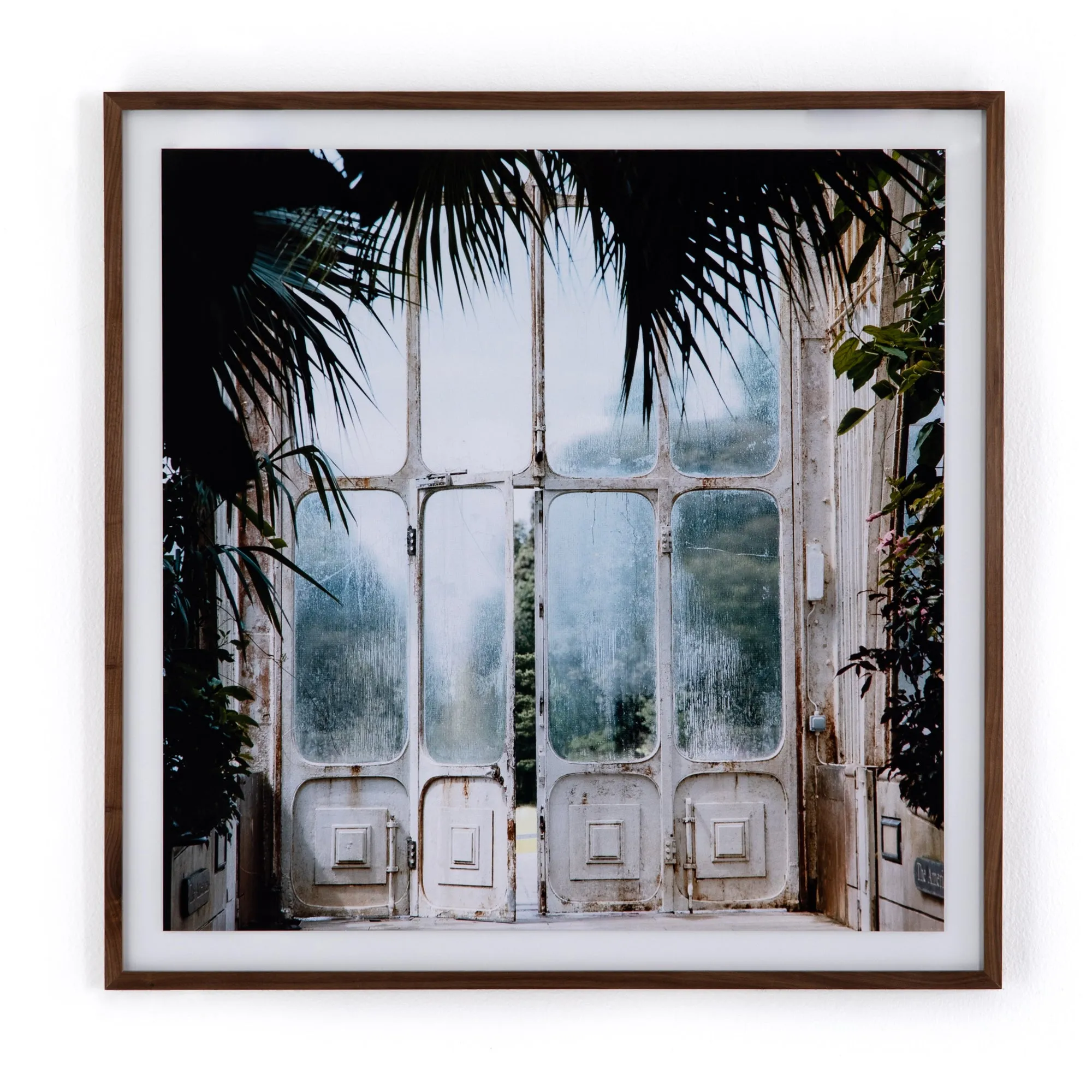 Greenhouse Framed Photo