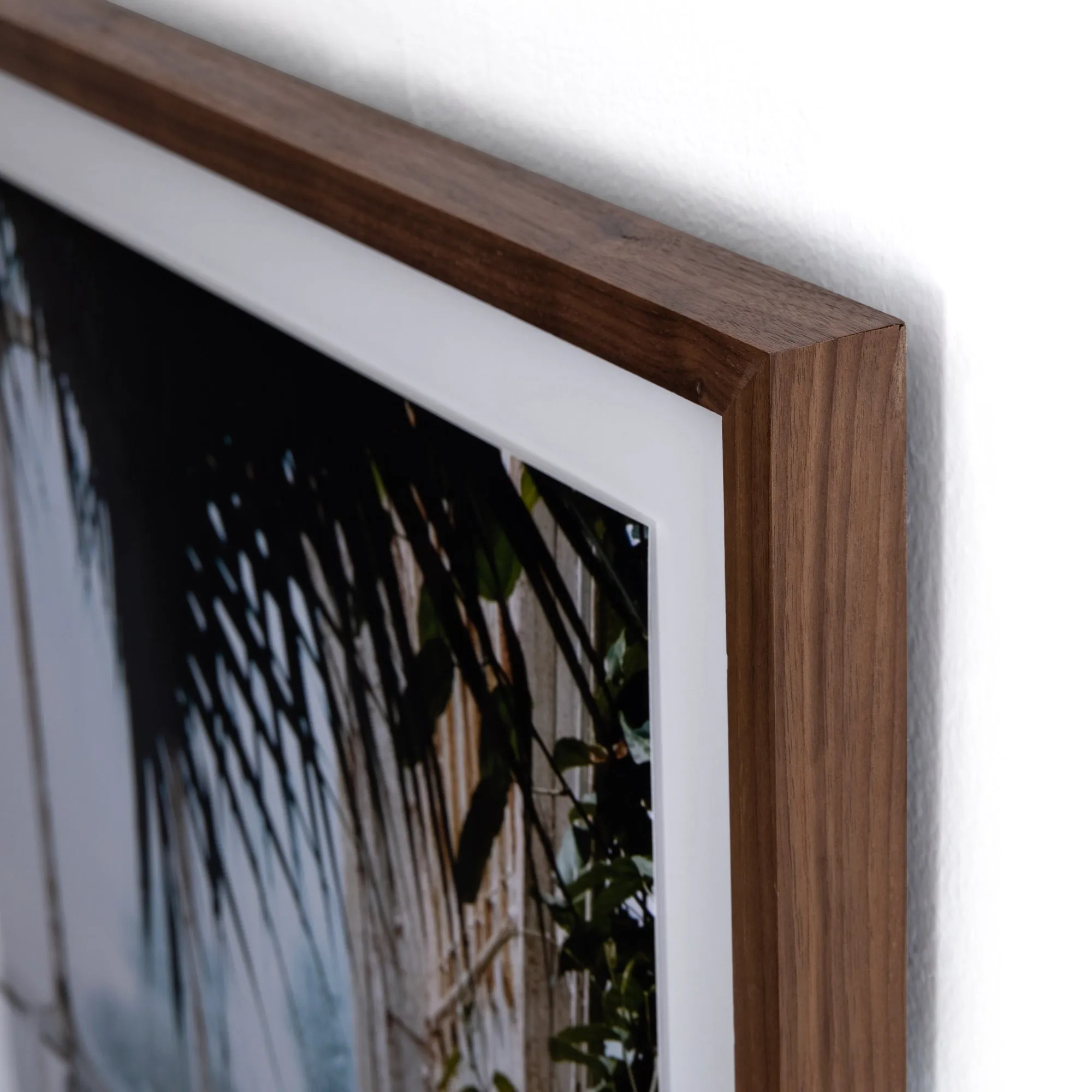 Greenhouse Framed Photo