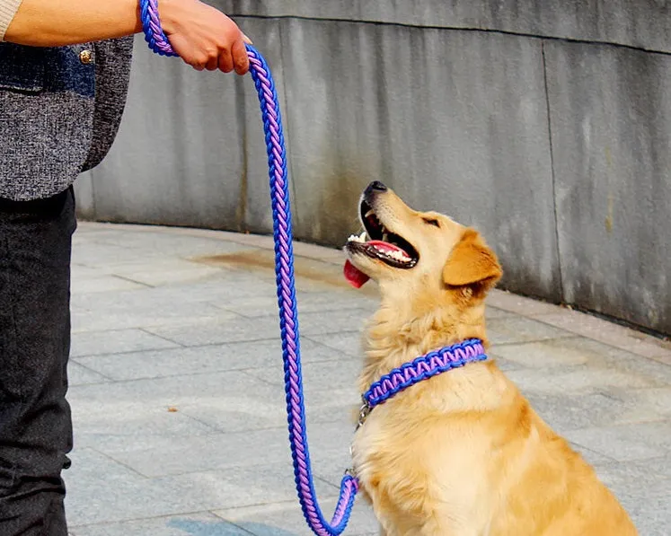 Rope Slip Chain Collar & Leash Set