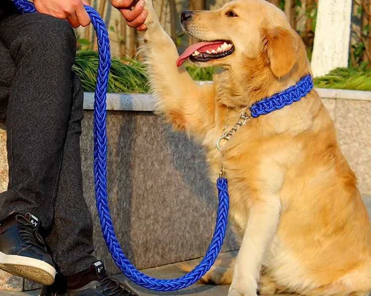 Rope Slip Chain Collar & Leash Set